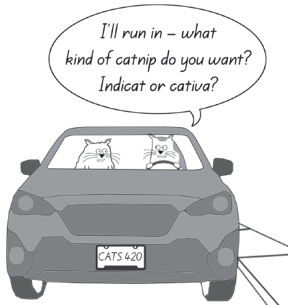 cat driving a car asking their car passenger what kind of catnip they want