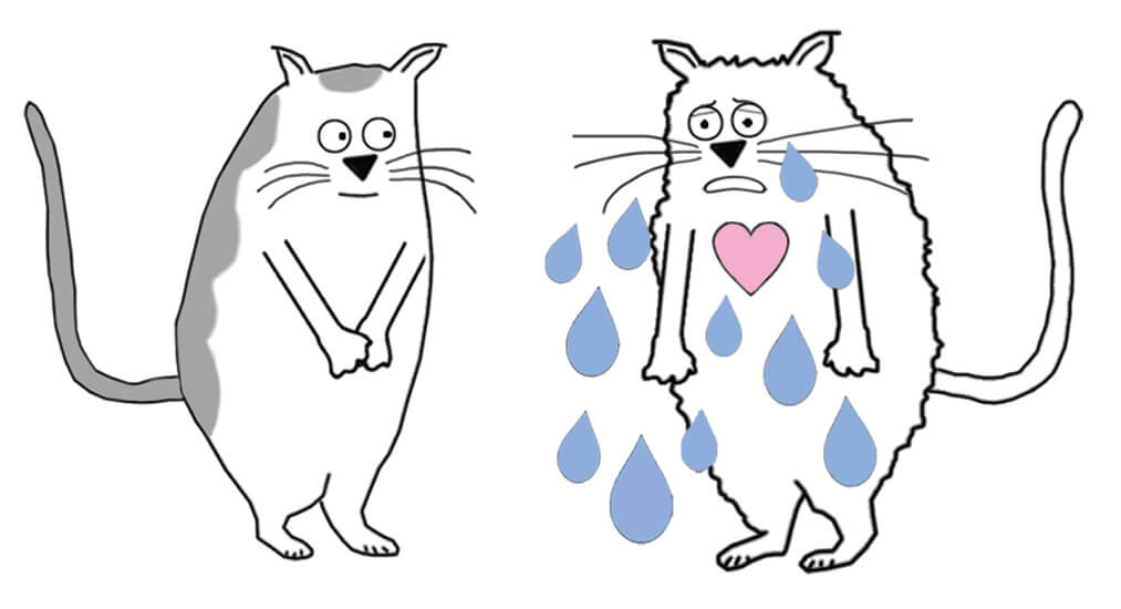 A cartoon cat crying and their friend listening attentively